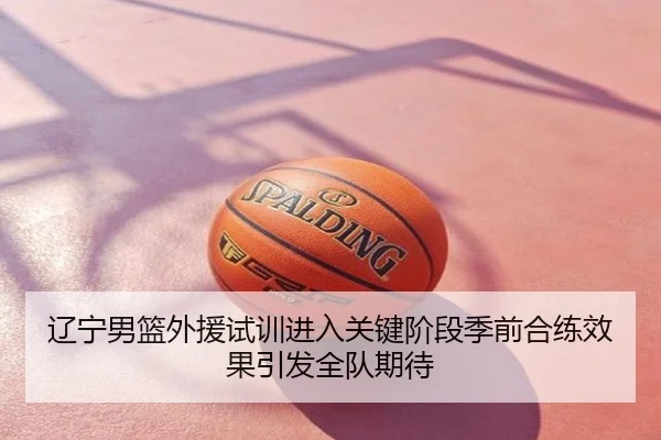 辽宁男篮外援试训进入关键阶段季前合练效果引发全队期待