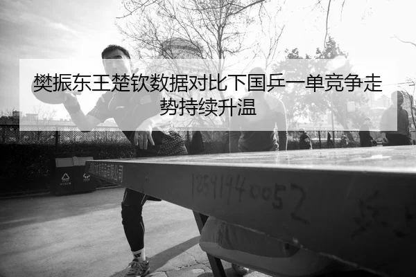 樊振东王楚钦数据对比下国乒一单竞争走势持续升温
