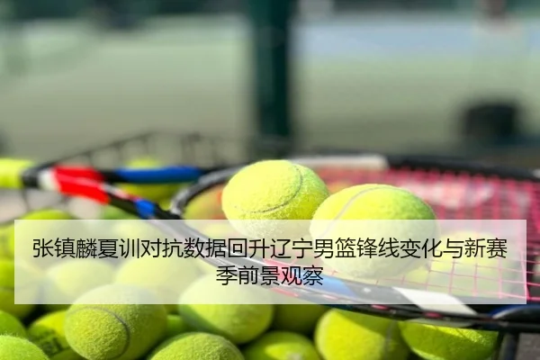 张镇麟夏训对抗数据回升辽宁男篮锋线变化与新赛季前景观察